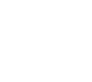 SKYNET Broadband Services